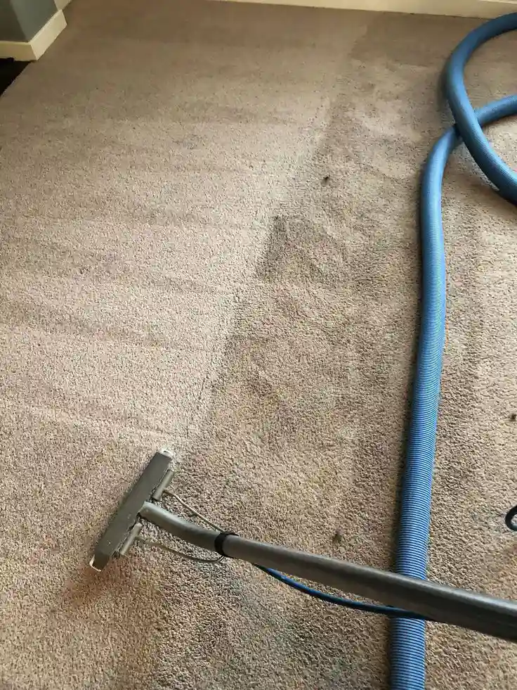 موکت شویی در کامرانیه مبل شویان